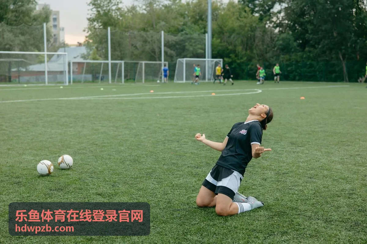 乐鱼体育在线登录官网精彩回放集锦封面
